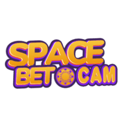 where can i buy sudoku books
